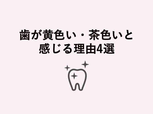 歯が黄色い 茶色いと感じる理由4選 歯科衛生士がお口の悩みに答えます