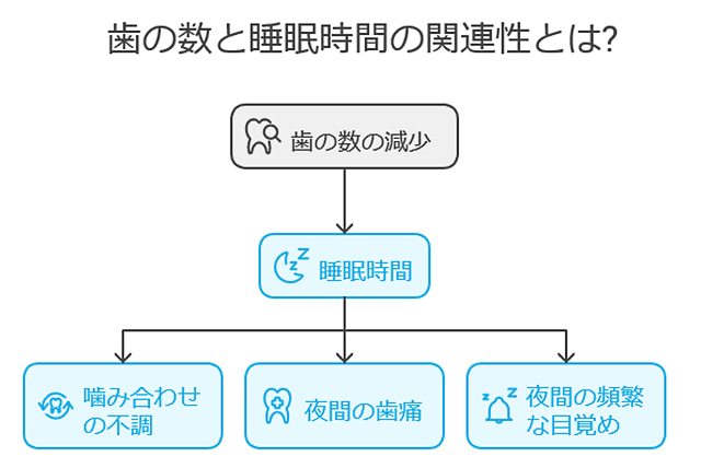 歯の数と睡眠時間の関係